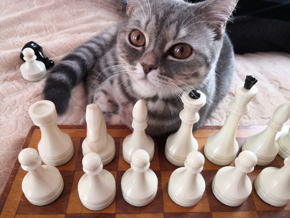 Алиска тоже активно участвовала в процессе