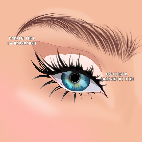 иллюстрации сделаны автором канала Бьюти Без Правил