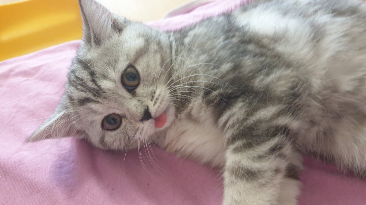 Успела сделать фото