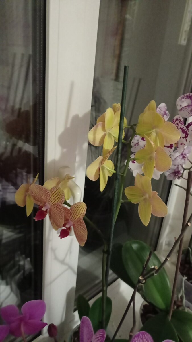 Немного красоты))) 