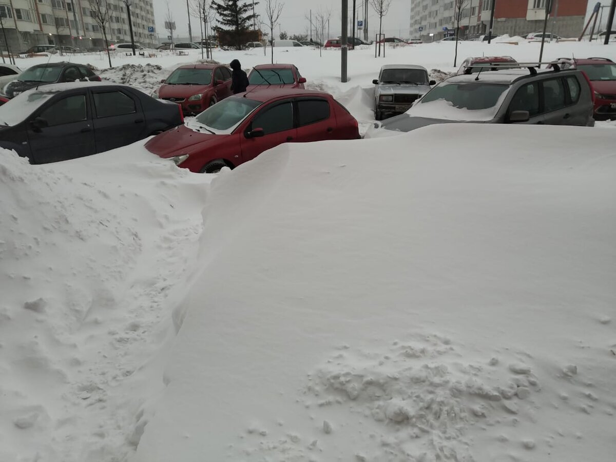 Москву засыпает снегом сегодня