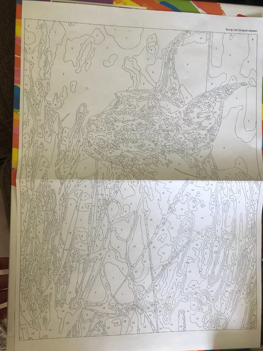 В наборе будет : сам холст краски с номерками ,кисточка,лак ,инструкция указана на коробке .  У вас  наверни-ка получится картина, рисунок,который,можно  повесить в своем доме или можно подарить. 