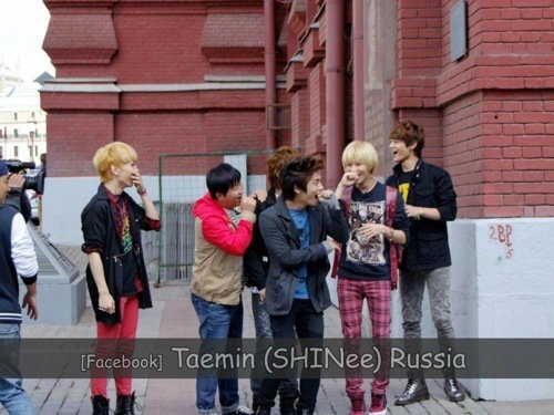 Яндекс картинки 