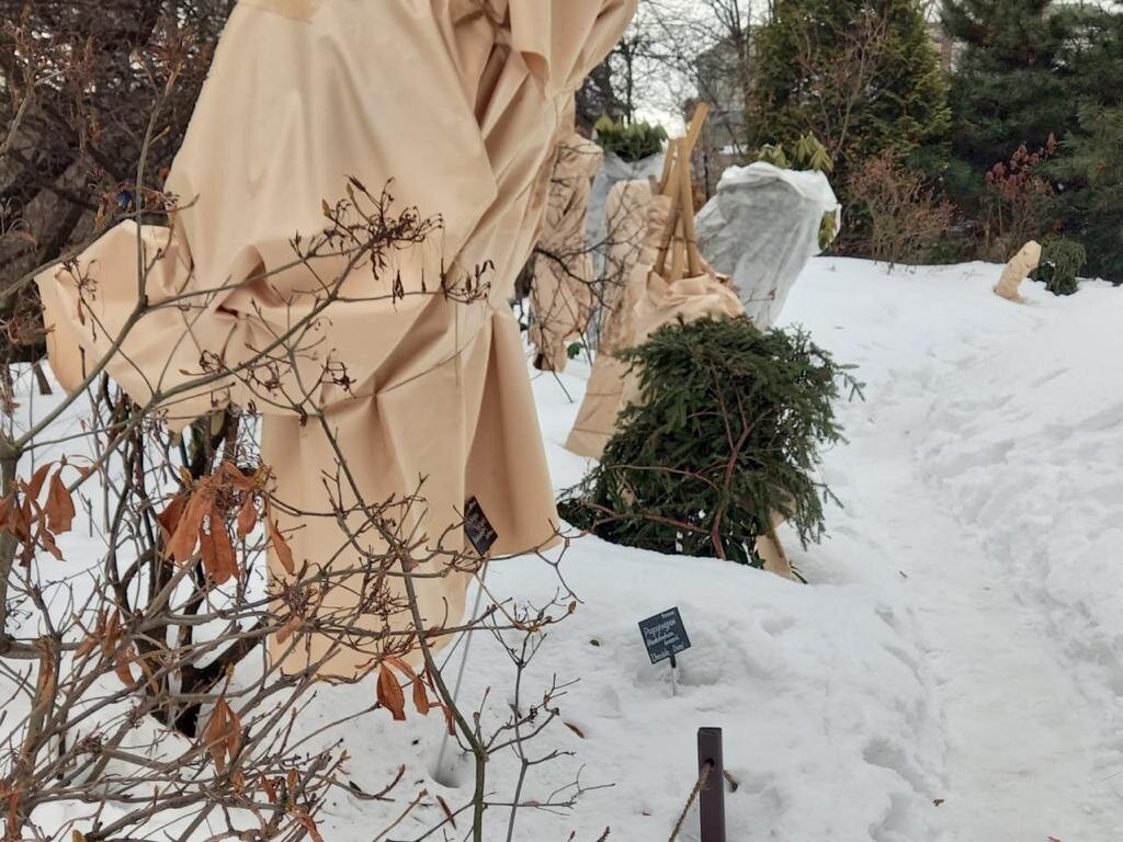 Защита от холода. Фото Ирины Вепринцевой