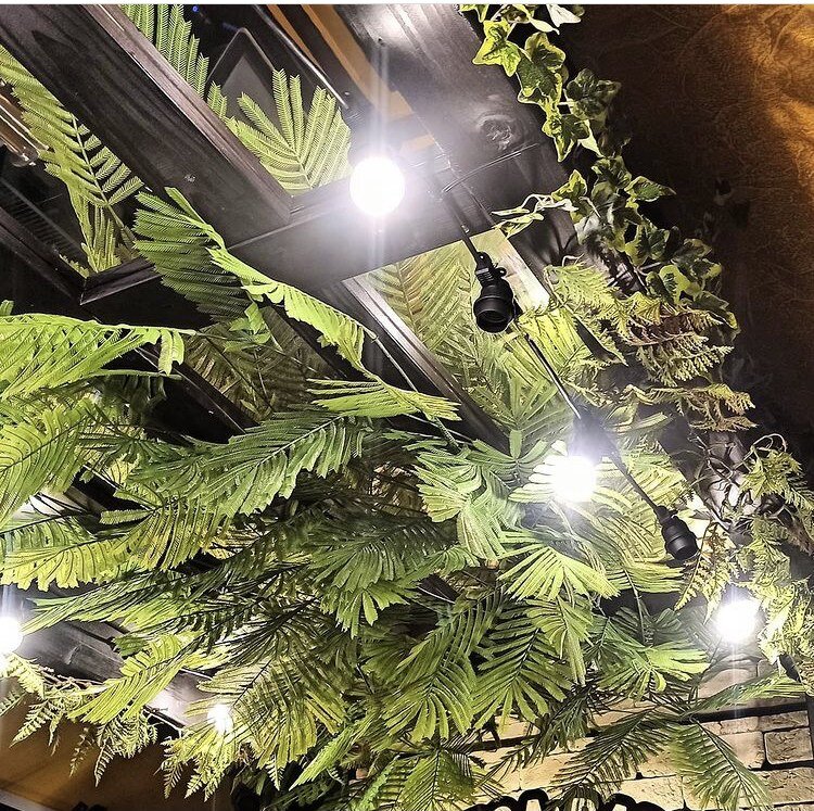 Потолоочное озеленение фудкорта