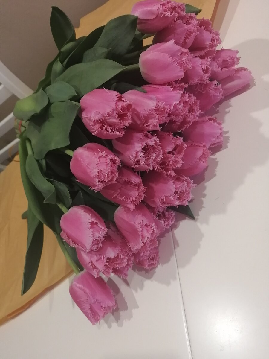 Доставка тюльпанов в Москве, Волгограде, Волжском 