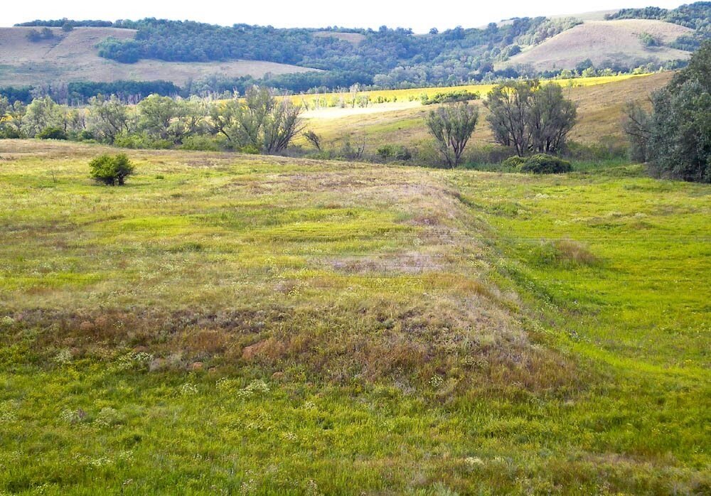 С виду вполне выглядит гостеприимно