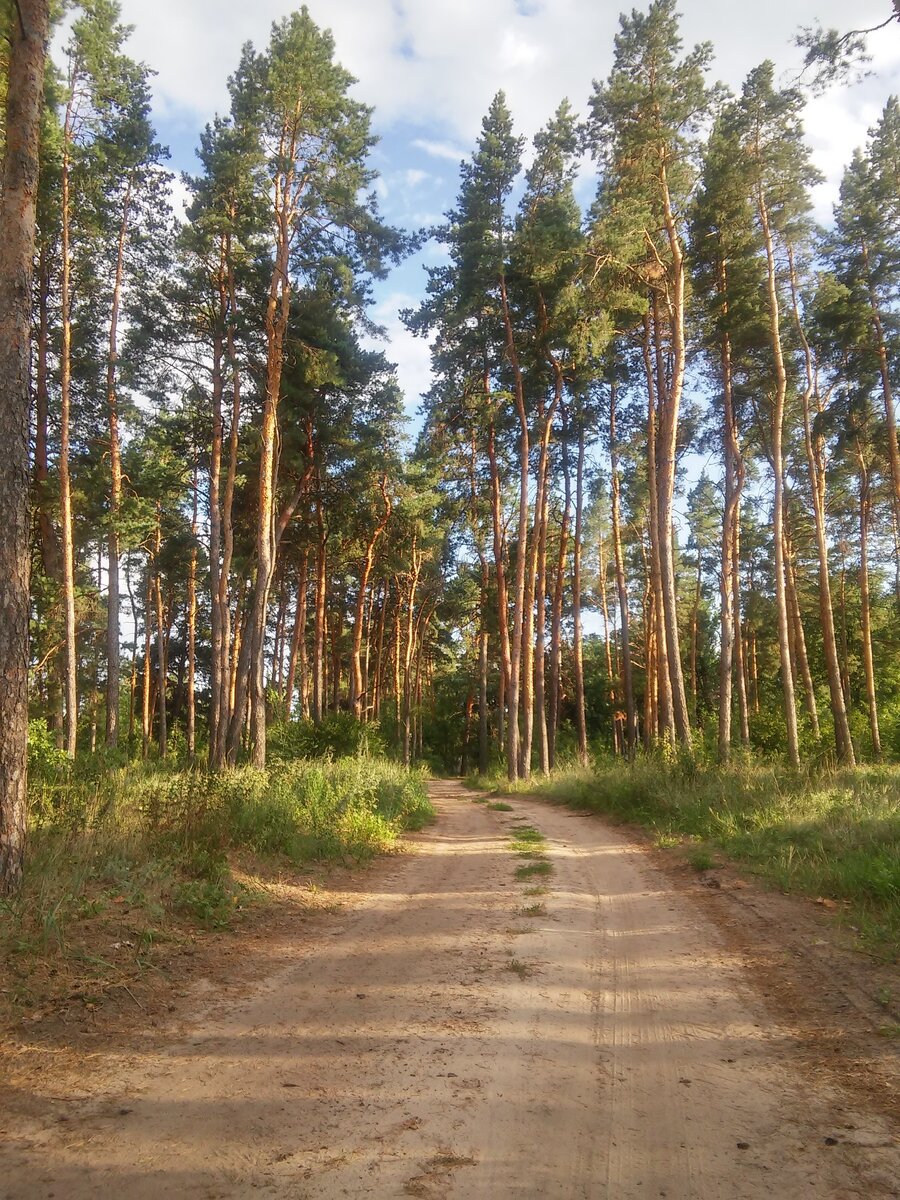 Поехали погулять и обнаружили заброшенную станцию и пионерлагерь