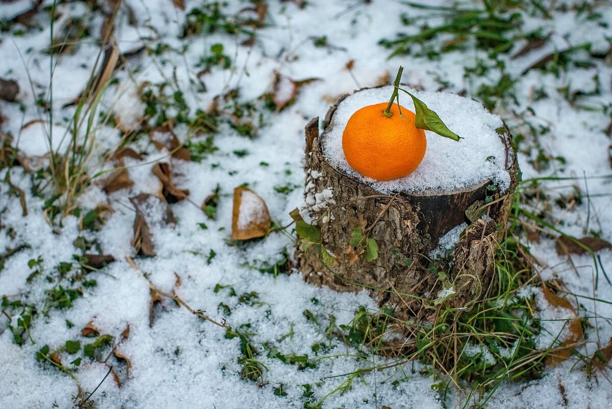 Изображение из открытых источников