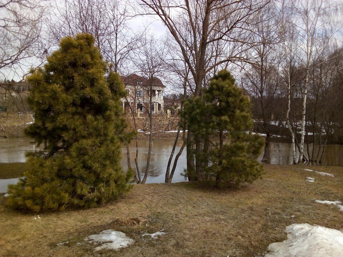 Питомник растений МАПХО в деревне Раево. Фото автора