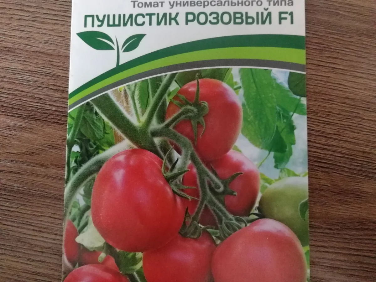 Семена Пушистика розового, фото автора