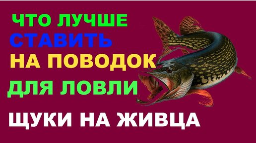 Лучший поводок на щуку. Просто, надёжно, недорого. Раменская струна.