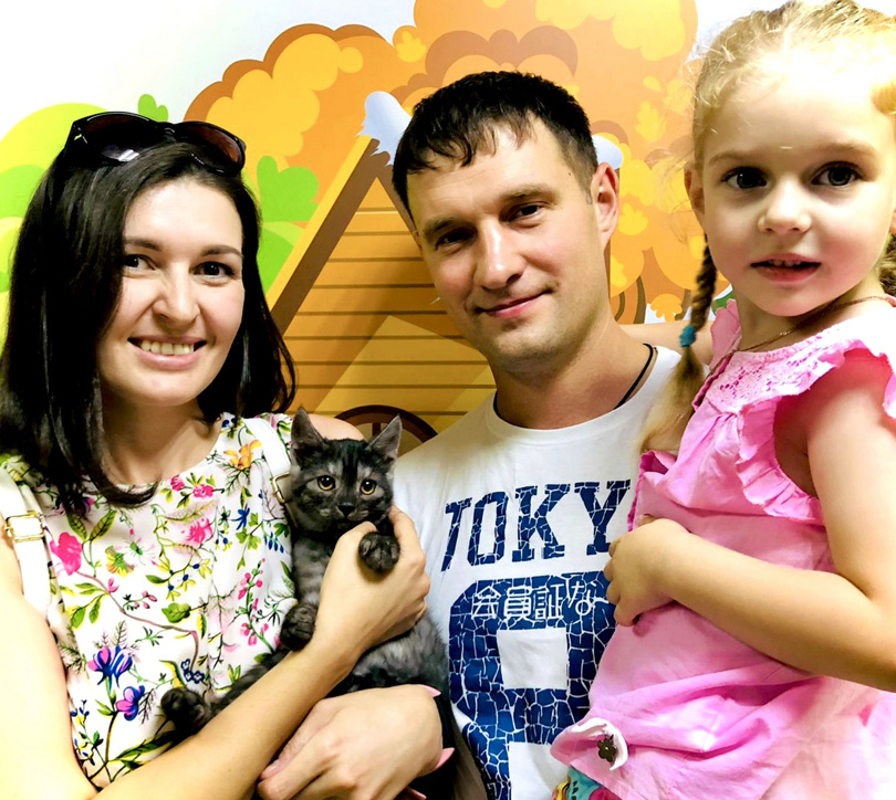 Последний день котёнка в приюте для животных «Омские хвостики» .