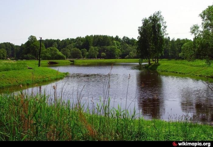 Черный пруд в Петергофе. Источник: wikimapia.org