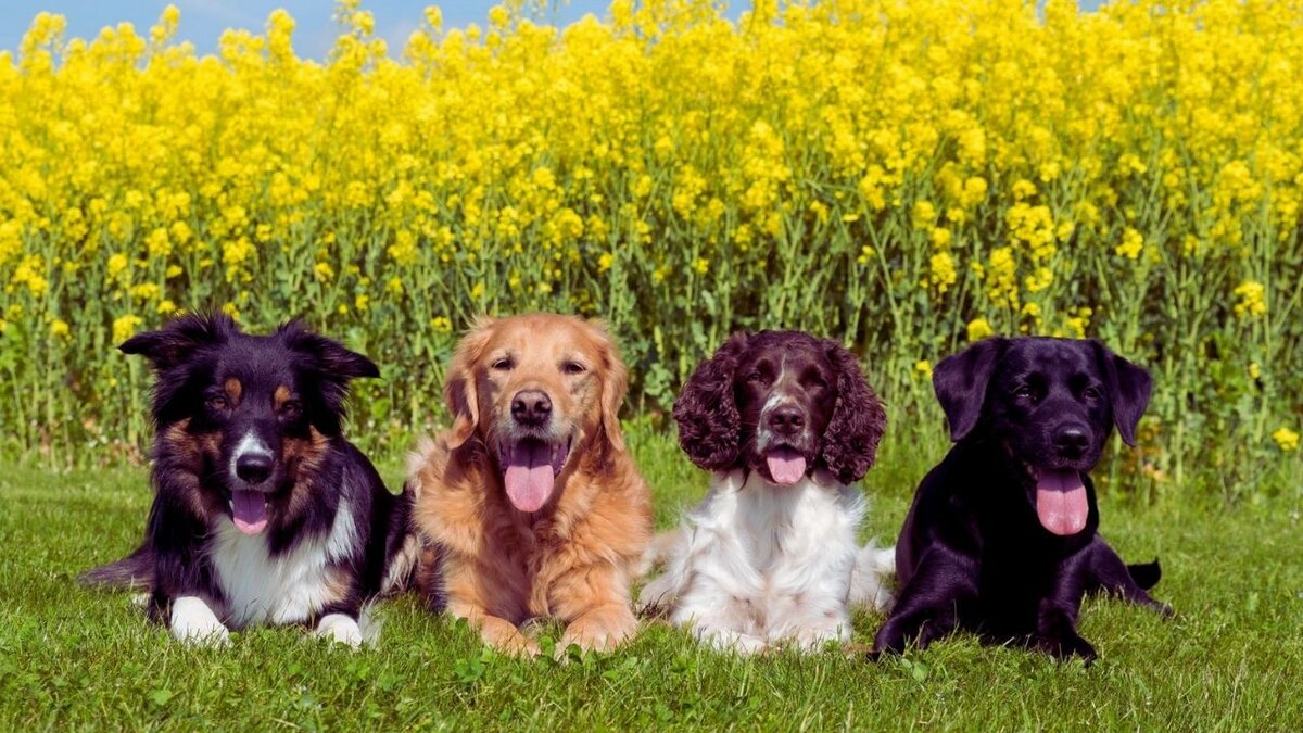 Вот они какие