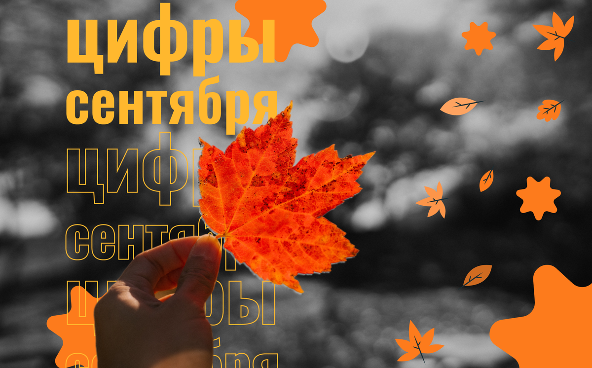 экология