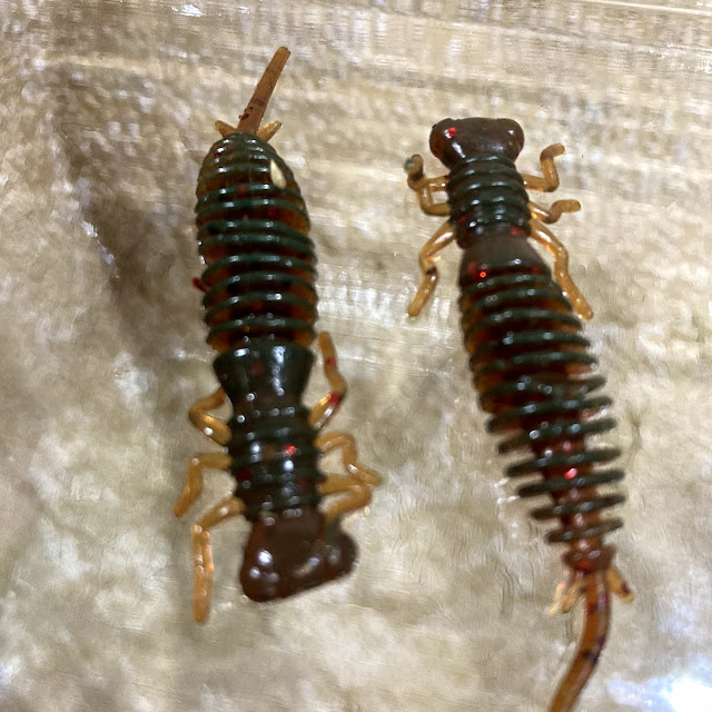 "Китайская каракатица"