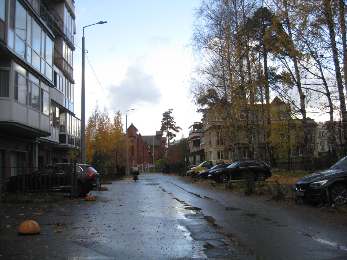 2021 год, СПб, Коломяги, Рябиновая улица