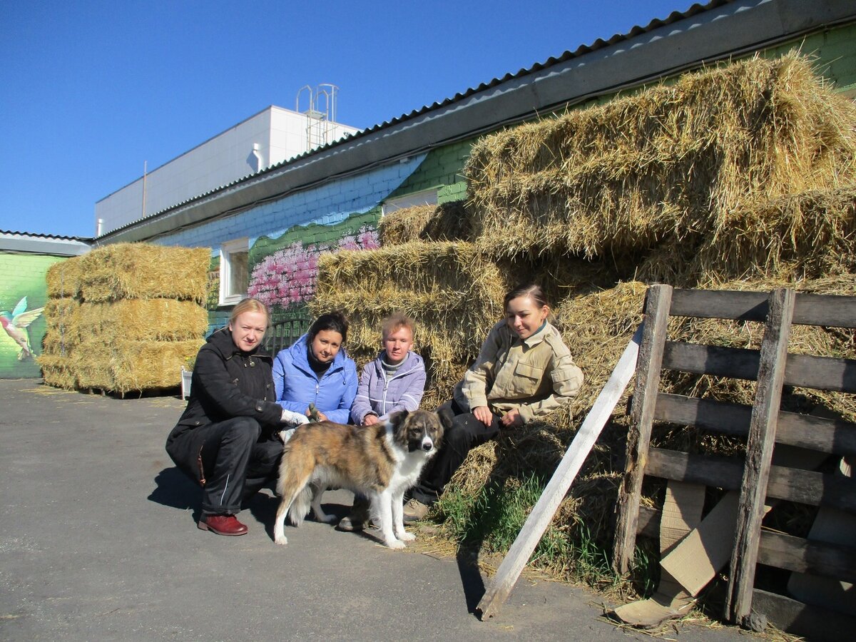 На субботнике в пансионате