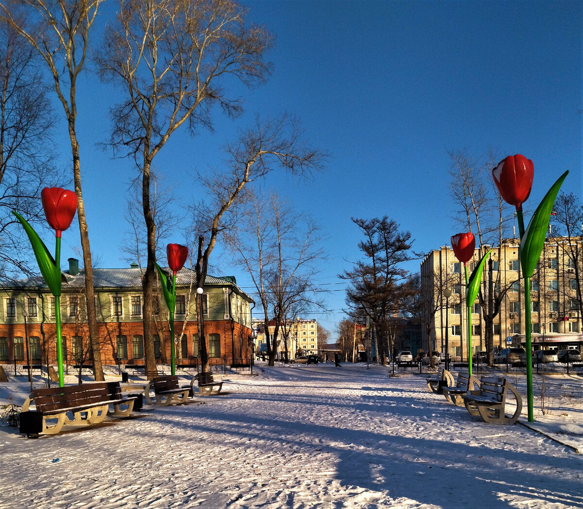 Фото автора