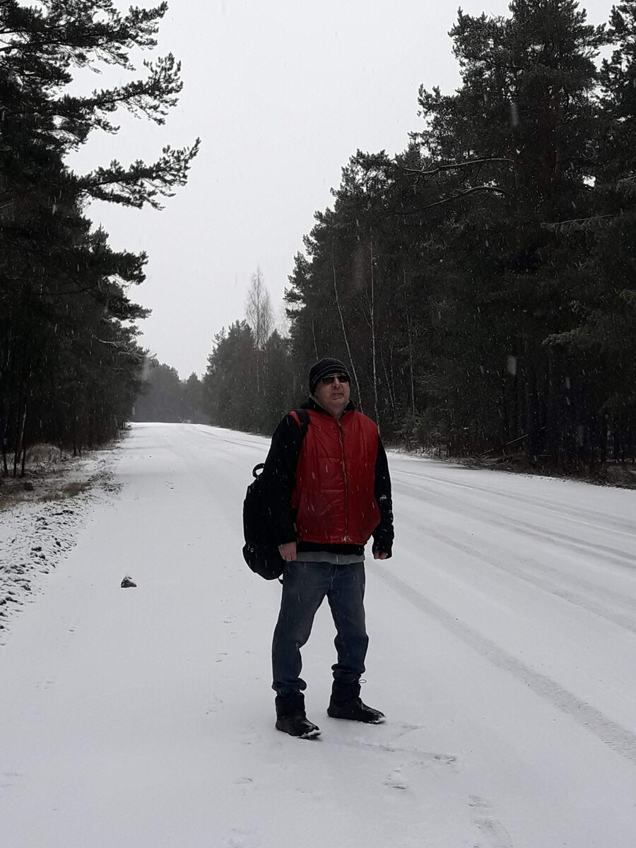 Яковлевский бор. Фото автора