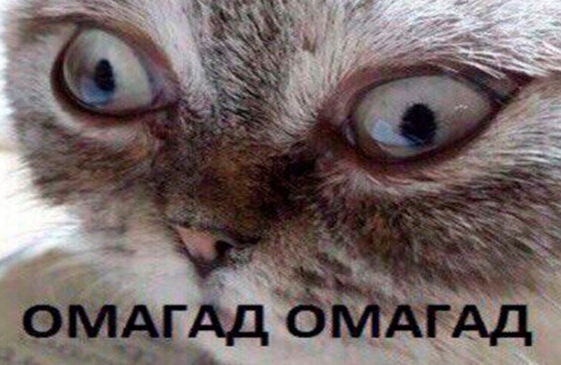 Фото из открытых источников.