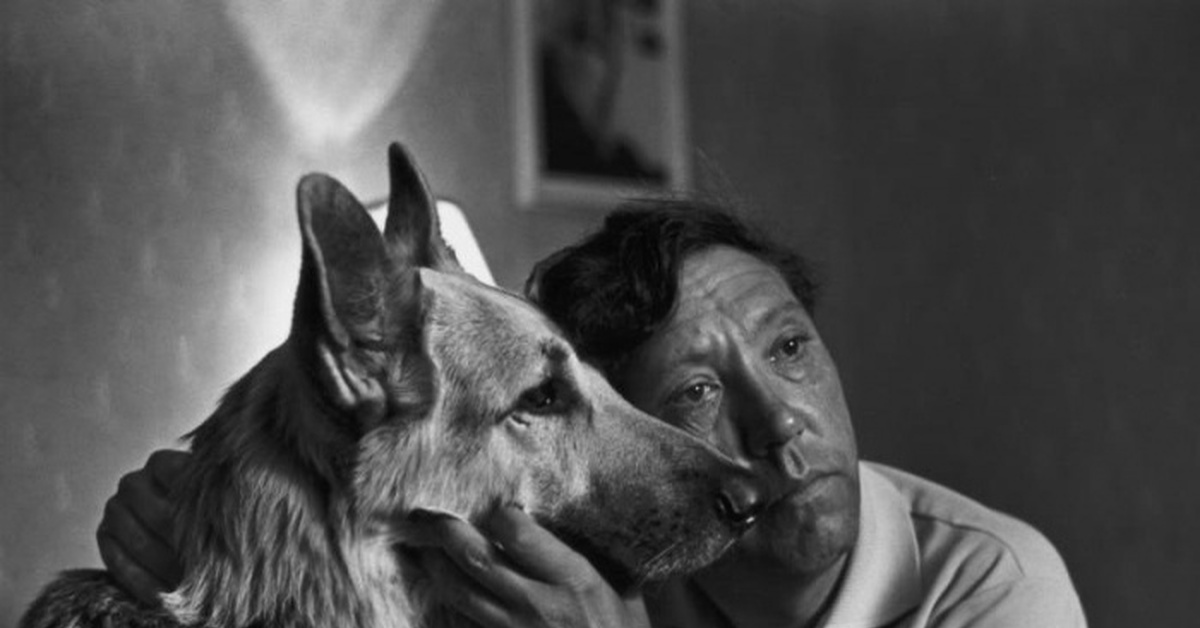 Из открытых источников.