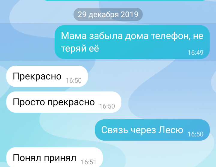 Это она поехала к своей крестнице в гости на Новый год в Москву, обратно самолётом в Пермь 