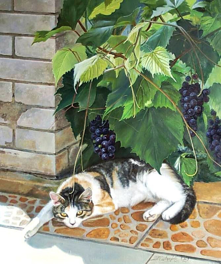 Алёна Савченко "Кошка Дашка, уснувшая в тени винограда, разбуженная внезапным вторжением" Холст, масло. 60х50 см.