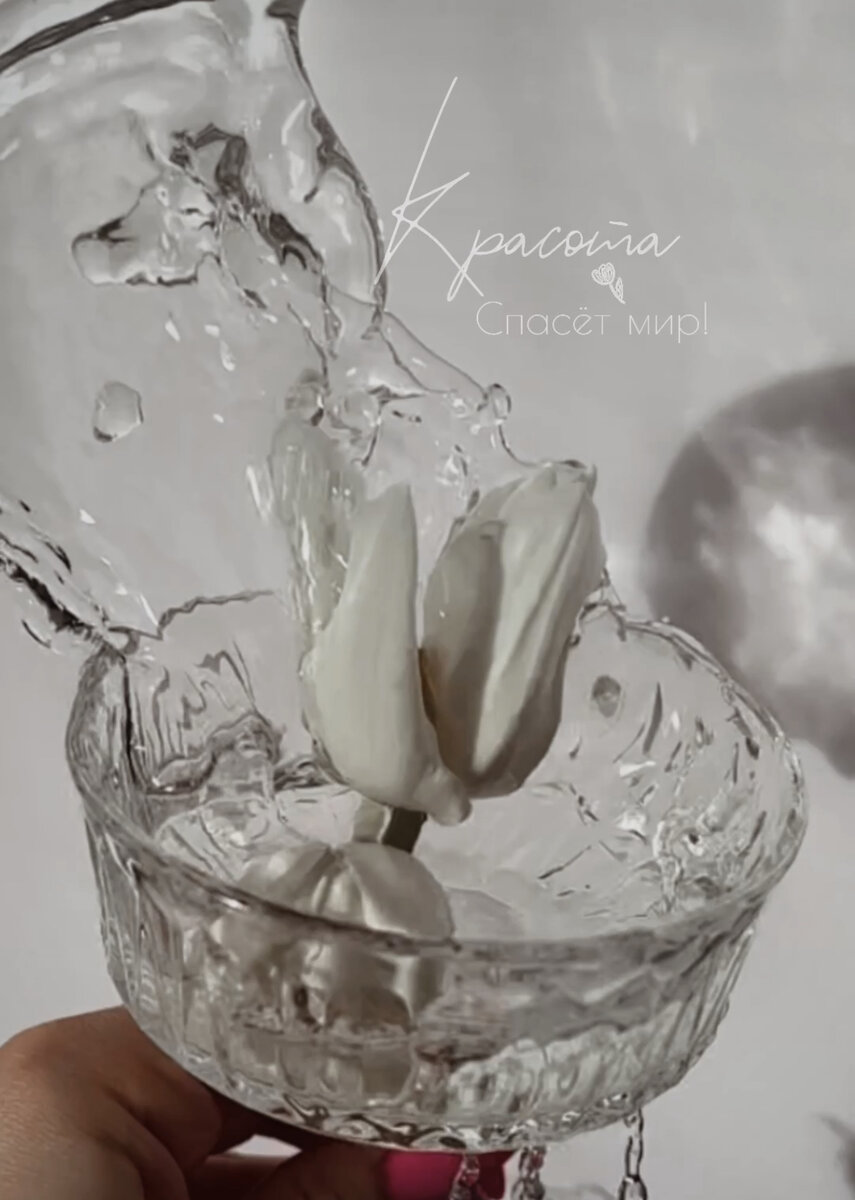 Примере видео в Рилс @alya.probranding