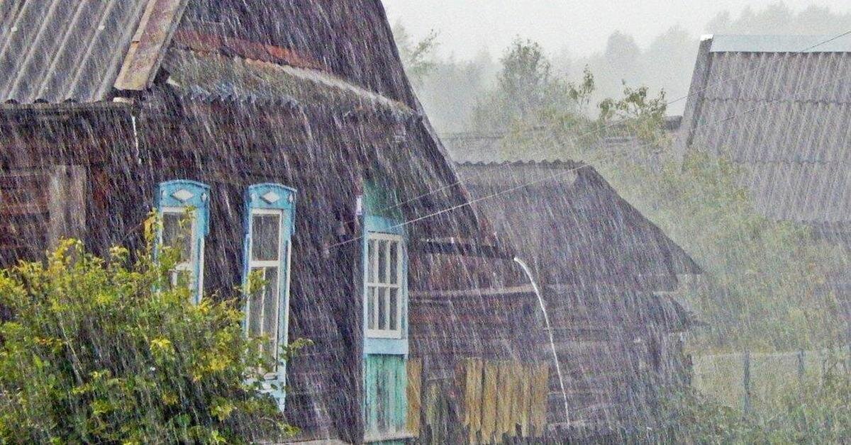 Фото из открытых источников.