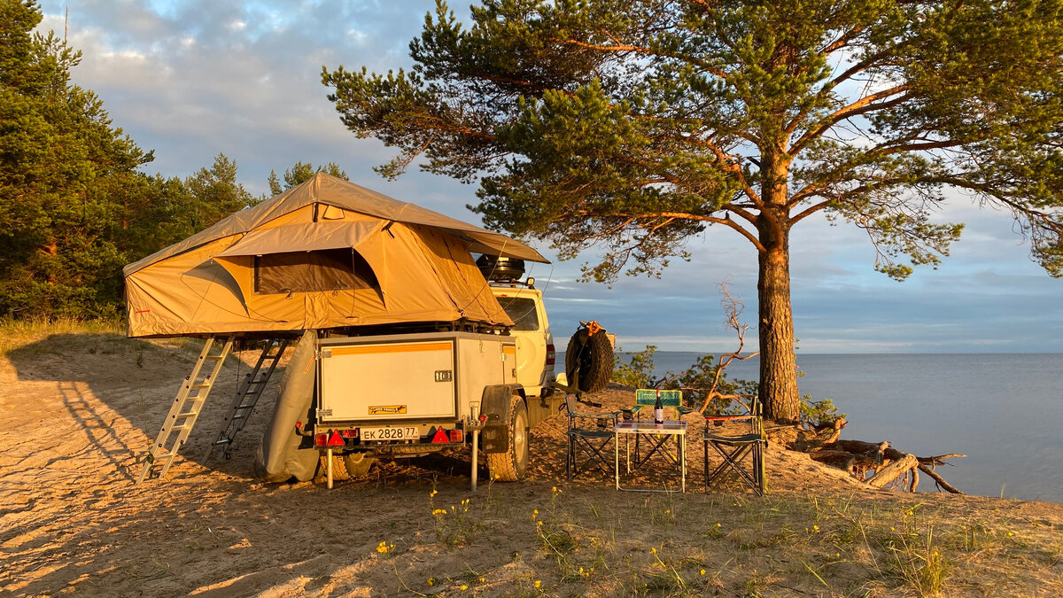 На берегу Онежского озера, август 2020