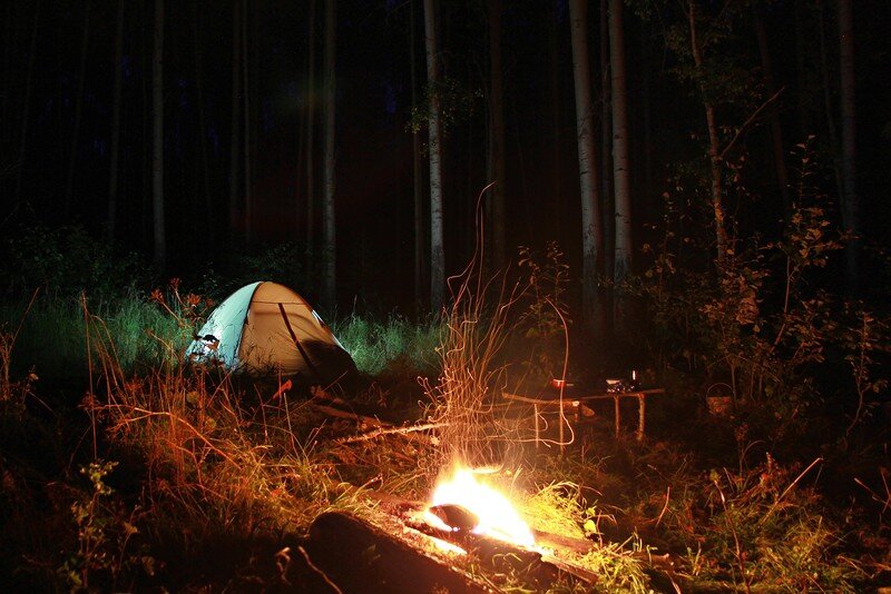 Ночь в тайге рассказ. Палатка в лесу. Палатка в лесу ночью. Ночной лагерь в лесу. Лагерь в лесу ночью.
