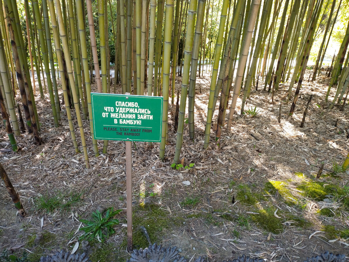 Вежливая  табличка. Фото автора канала