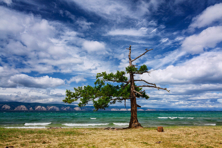 Фото: depositphotos.com