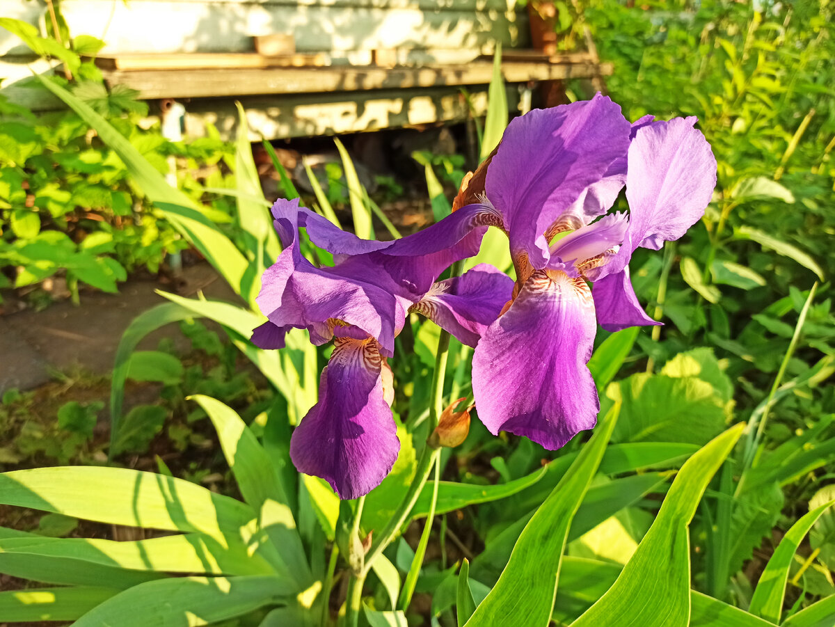 Фото автора. 