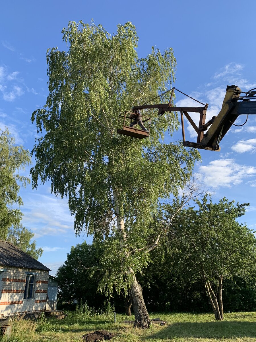 Какой маленький муж фоне дерева, а ведь он 190 см. 