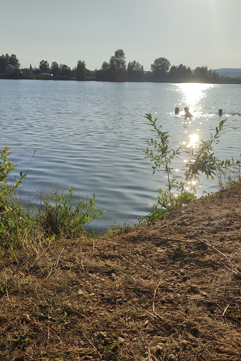 фото автора. 