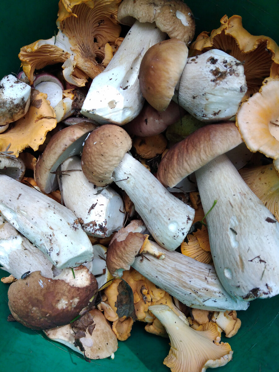 Фото из личного архива