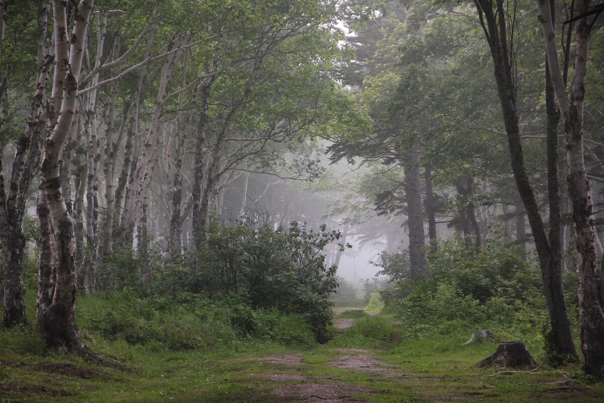  Сахалин https://vk.com/pantiv