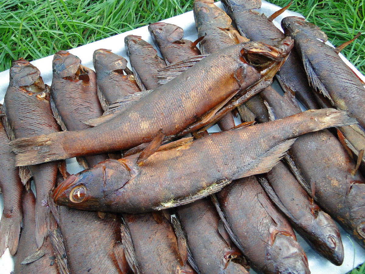 Последний раз салат был из копченого берша!