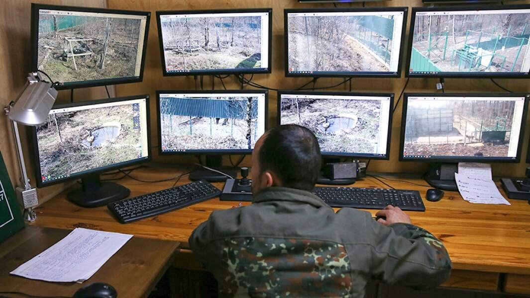 Фото: ТАСС/Дмитрий Феоктистов