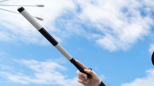   © Sputnik / Артур Лебедев