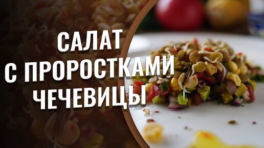 Салат с проростками чечевицы