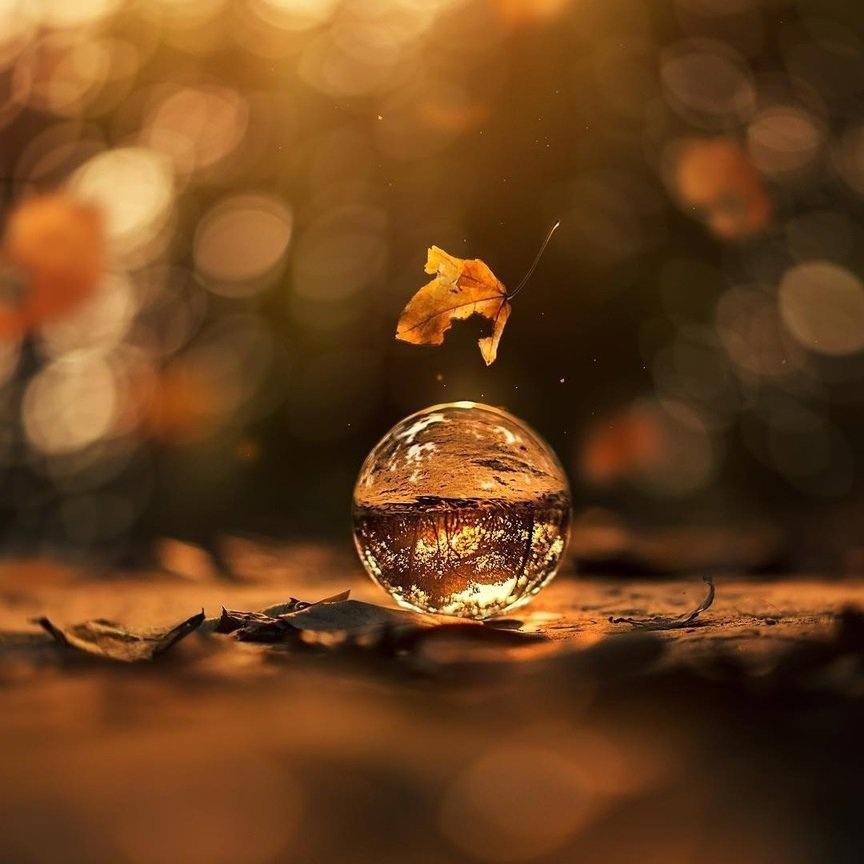 Фото из открытых источников в интернете. Сквозь призму осени