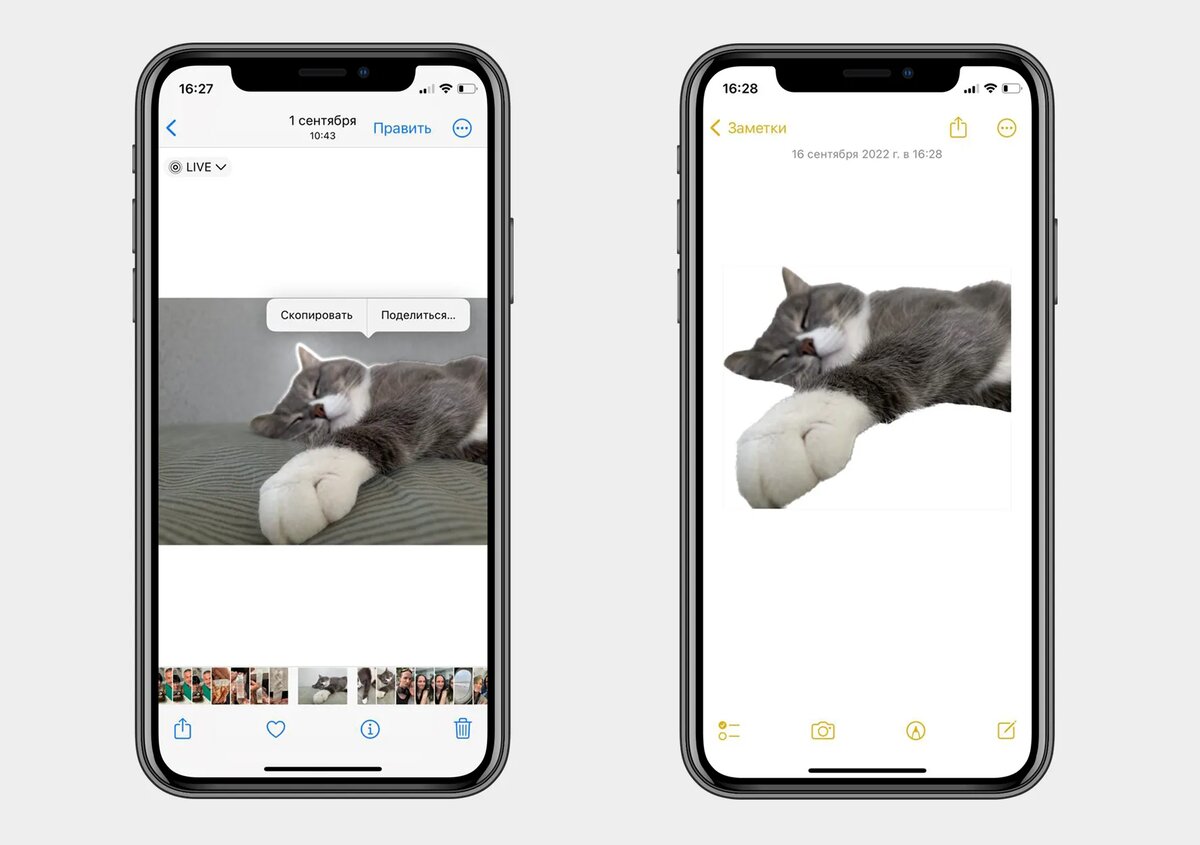 Стоит ли обновлять айфон до 17.3 ios. Стоит ли обновлять айфон до 17.3 ios