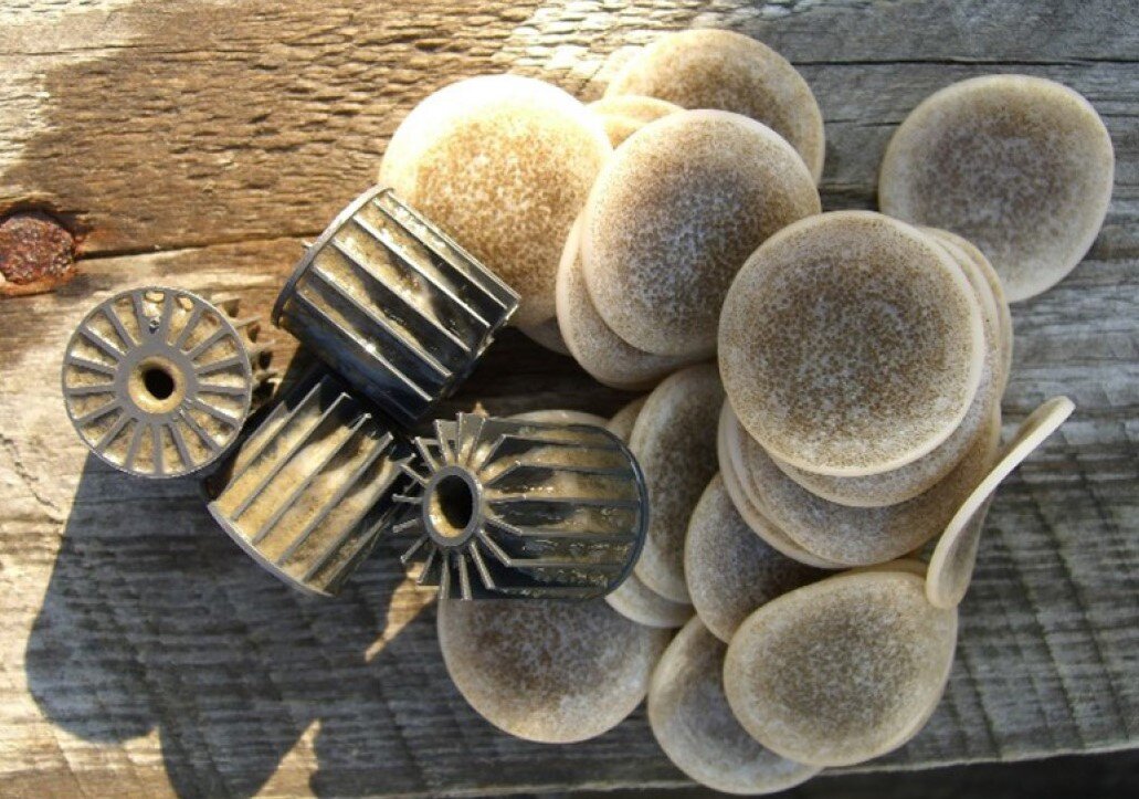 фото с сайта: www.biochip.by