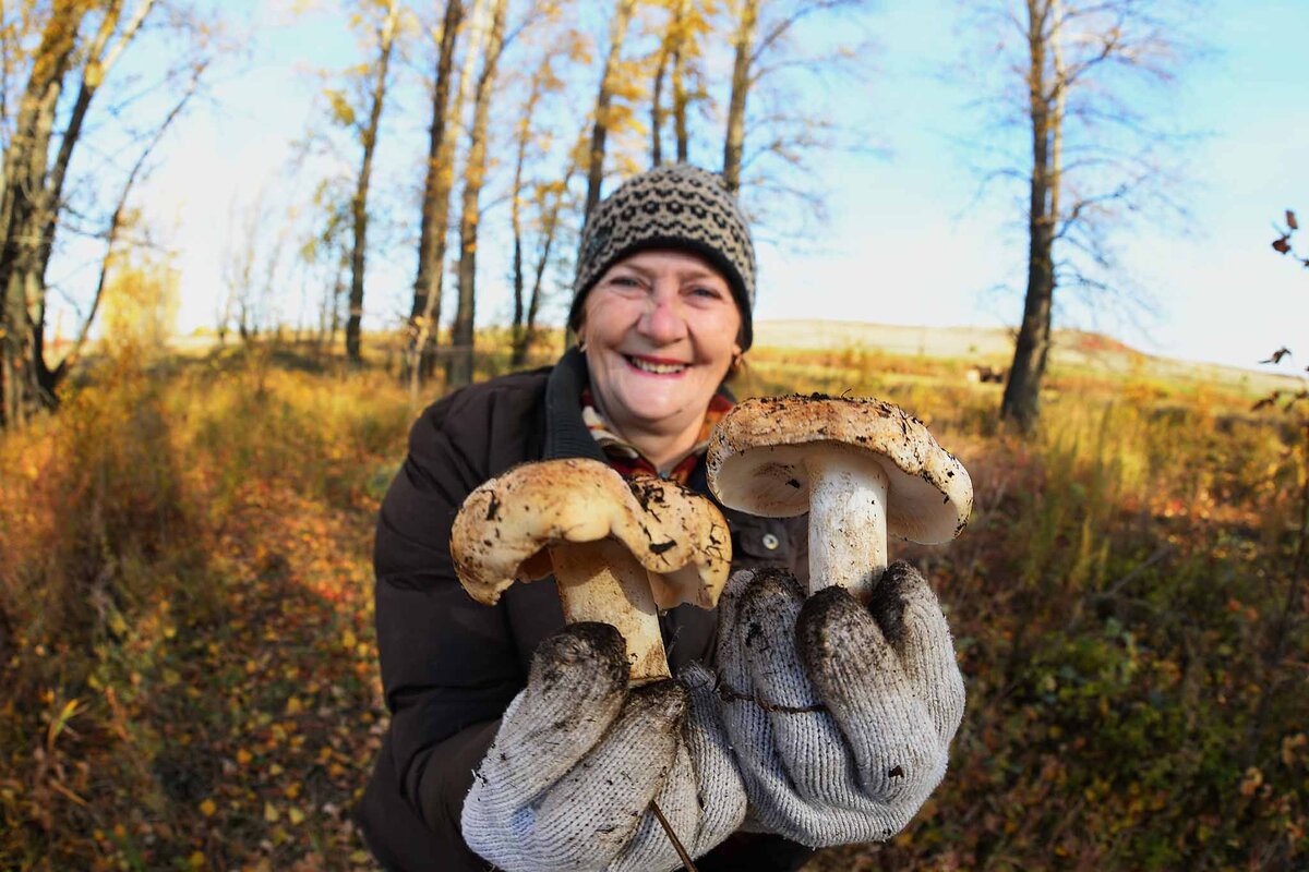    Свои места есть у каждого бывалого грибника.Фото: Олег РУКАВИЦЫН