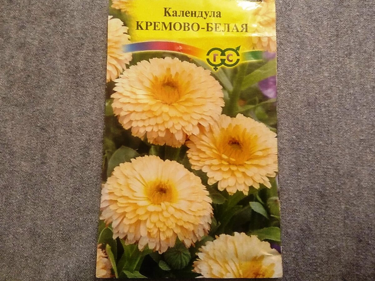 Пакет с семенами махровой кремовой петунии