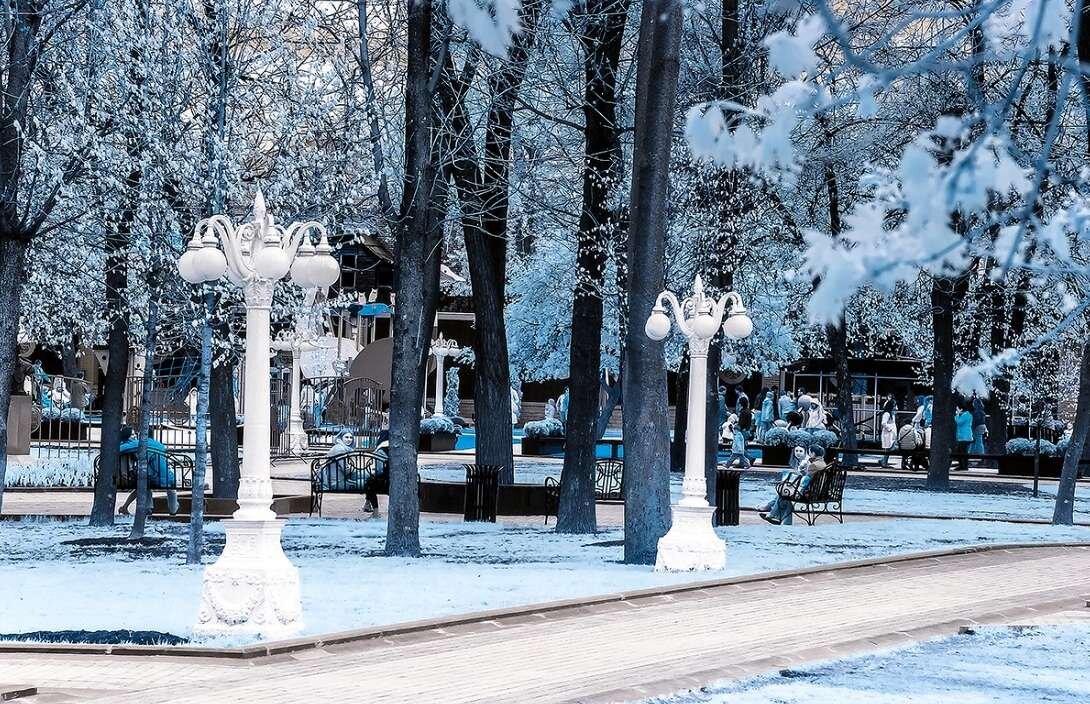 Сад эрмитаж москва зима. Зимний сад эрмитаж. Сад эрмитаж зимой. Сад зимнего дворца в санкт-петербурге. Зимний сад эрмитаж.